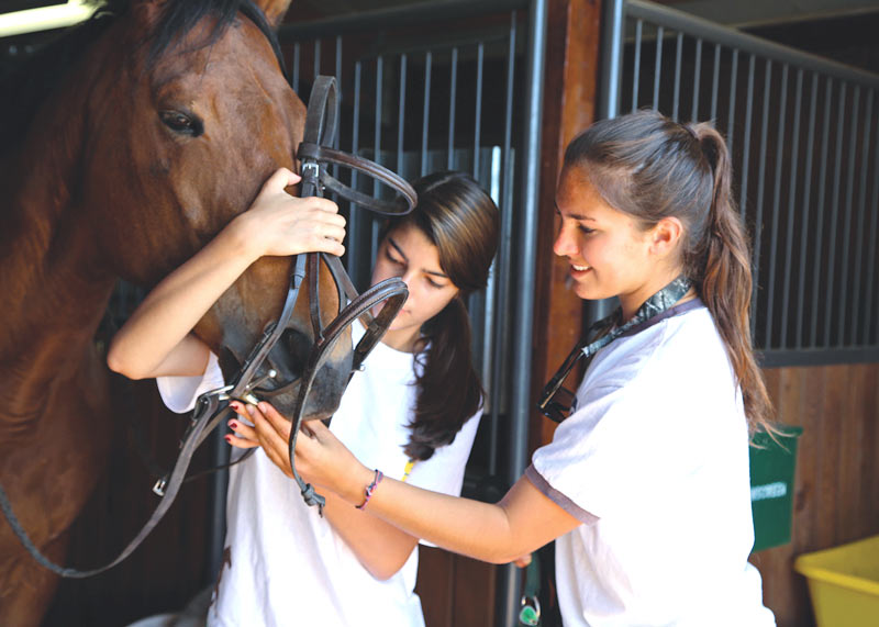 Riding campers taking care of horse